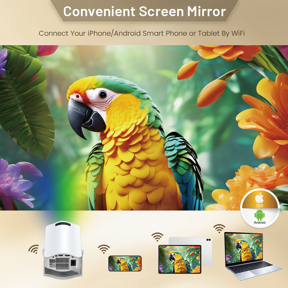 Household Barrel Portable HM400pro Projector